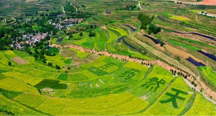 實(shí)干篤行勇?lián)?dāng) 善作善成開新局——甘肅金控融資擔(dān)保集團(tuán)股份有限公司成立五周年發(fā)展紀(jì)實(shí)