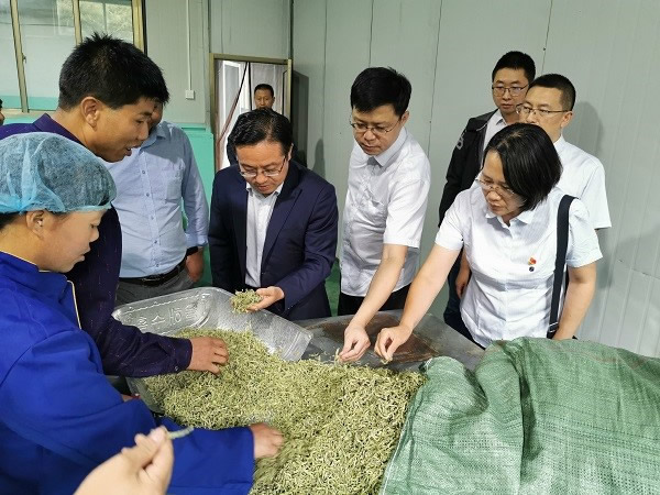 201909111568195819930174.jpg 5.jpg